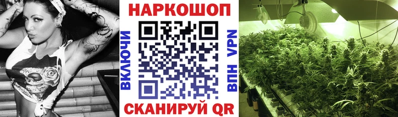 Где продают наркотики Рубцовск Cocaine  Конопля  A PVP  ГАШ  Меф мяу мяу 