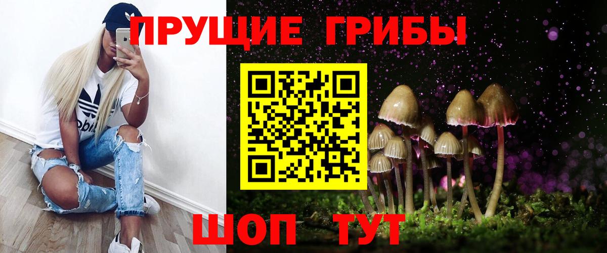 Псилоцибиновые грибы прущие грибы Рубцовск
